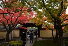 181125c大徳寺黄梅院69