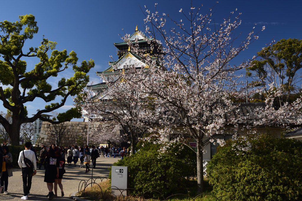 190405b大阪城32