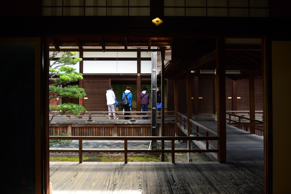 190205b妙心寺龍泉庵43