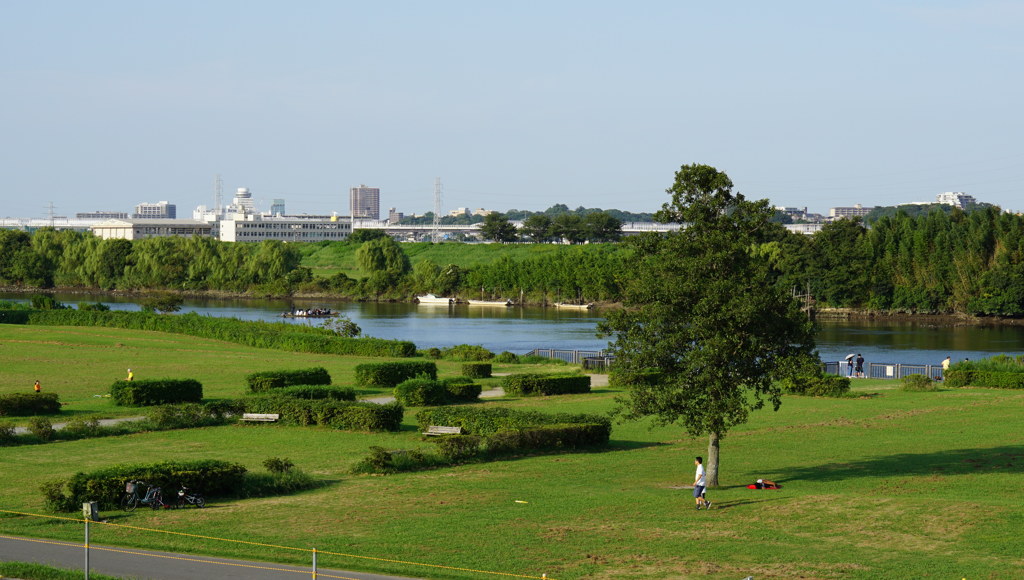 柴又河川敷