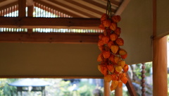 常泉寺（花と河童のお寺）鬼灯の色合い