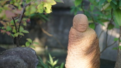 常泉寺（花と河童のお寺）柔らかな日差しに