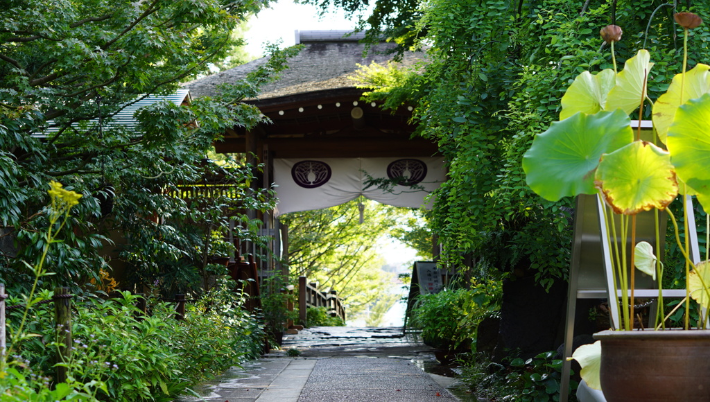 常泉寺（花と河童のお寺）