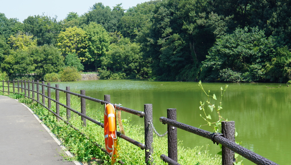 国営武蔵丘陵森林公園２