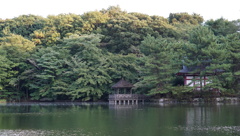 石神井公園３