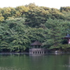 石神井公園３