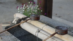 香取神社　小さな季節