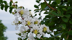 DSC03969