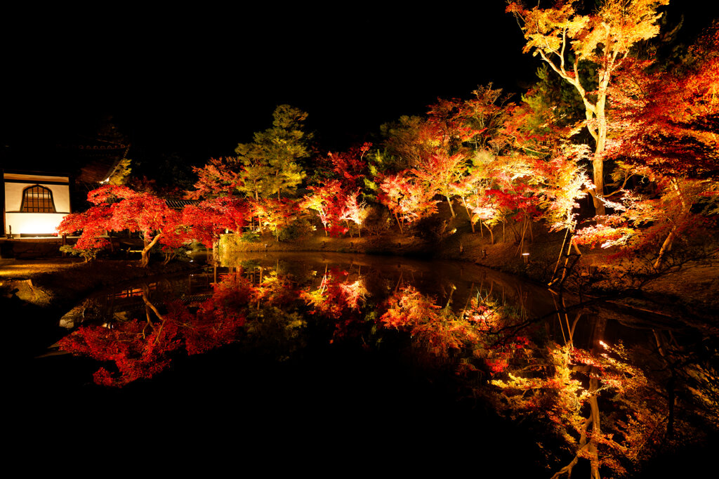 高台寺ライトアップ