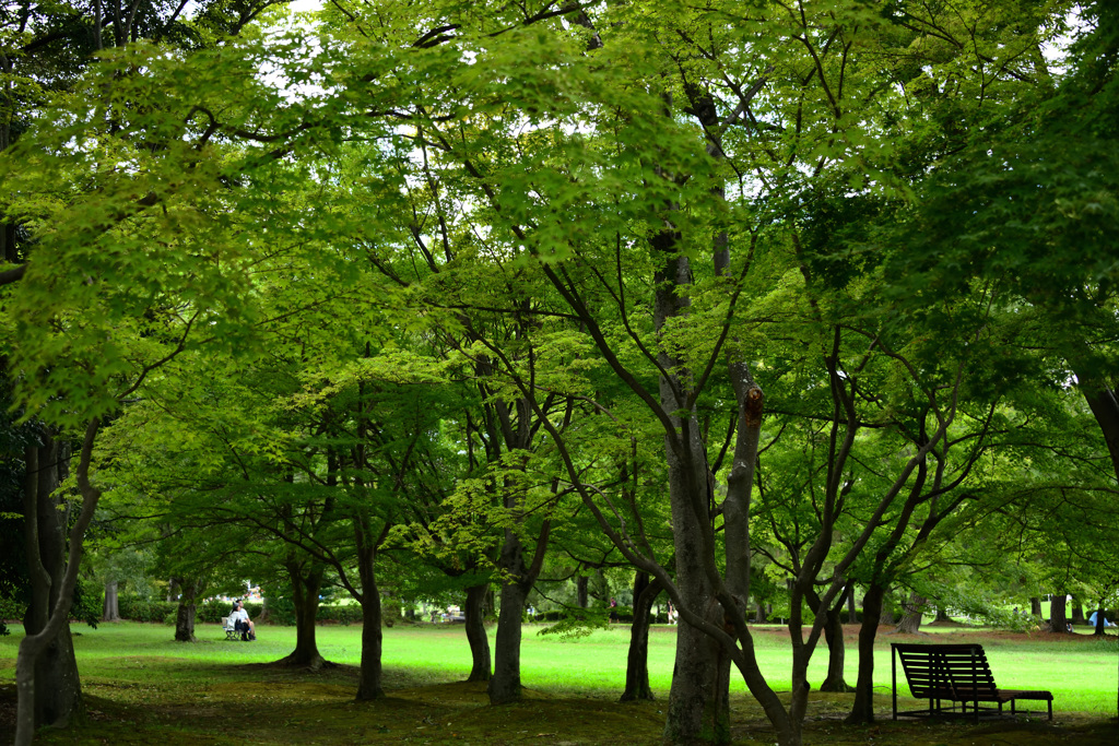 休日の公園