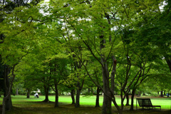 休日の公園