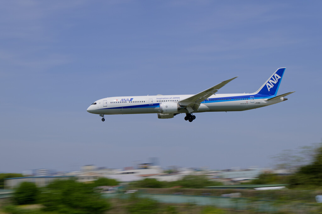 ANA B787-10
