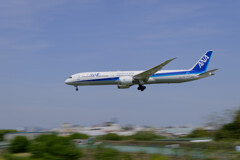 ANA B787-10