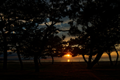 慶野松原の夕陽