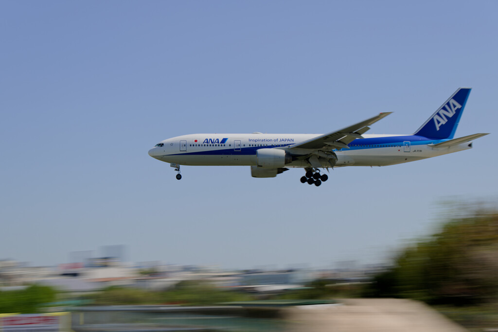千里川土手のANA B777