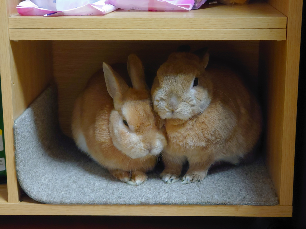 角部屋