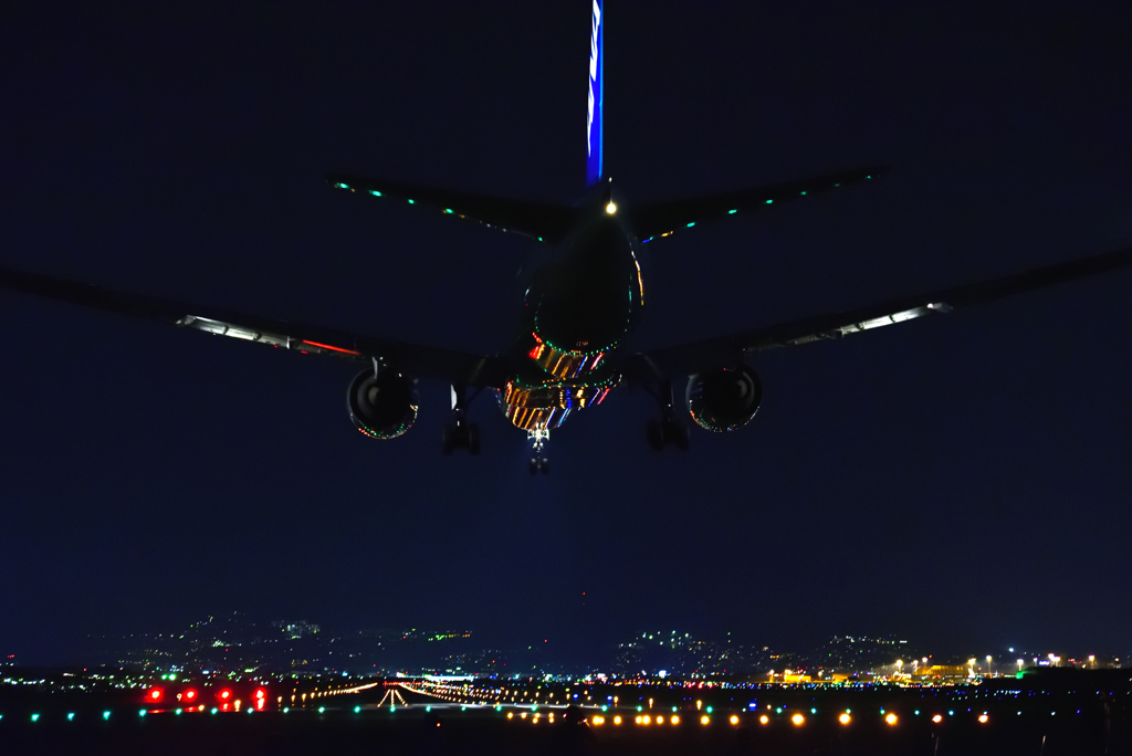 夜の定番