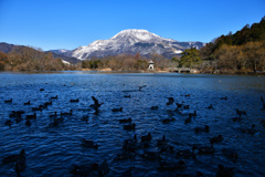 三島池からの伊吹山