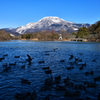三島池からの伊吹山