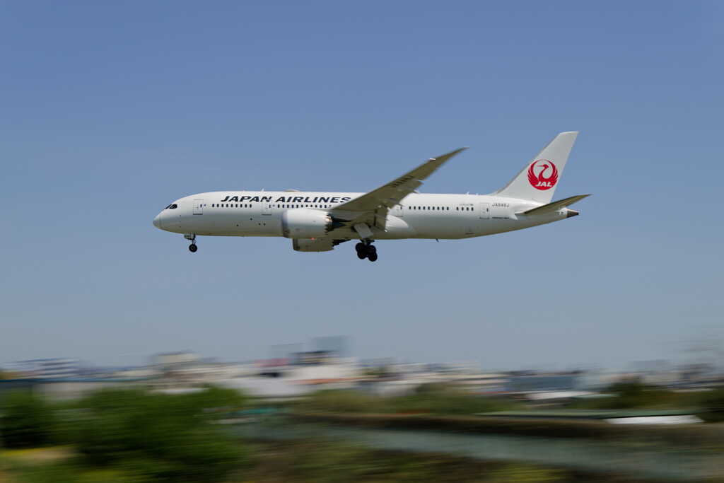 千里川土手のJAL B787-8