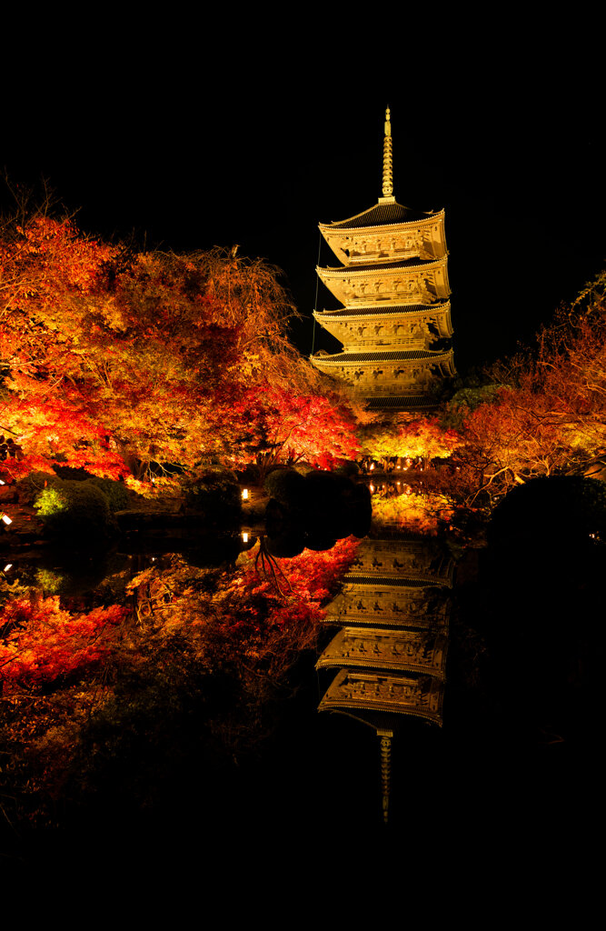 東寺ライトアップ