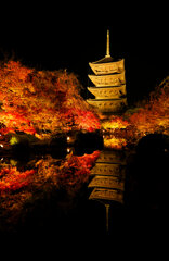 東寺ライトアップ