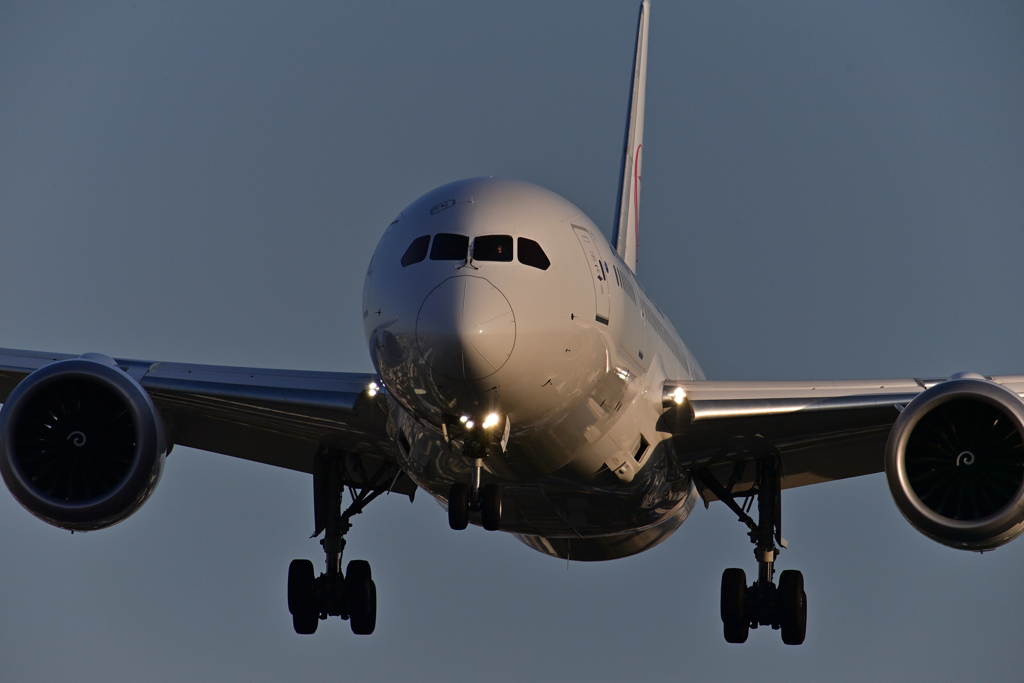 アプローチ B787