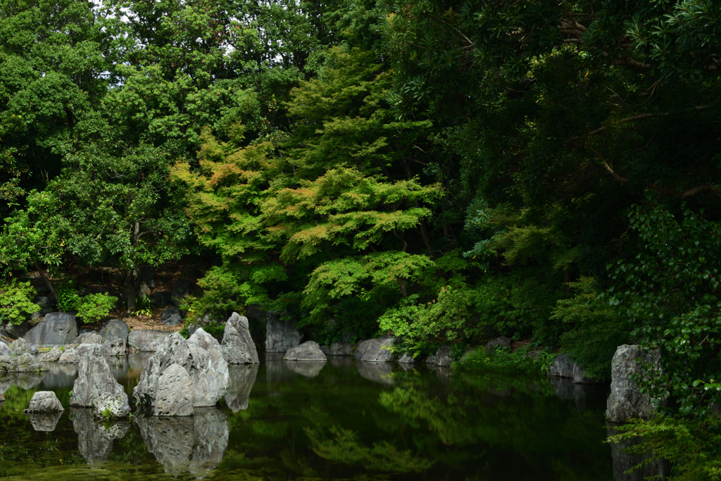 20秒の風景