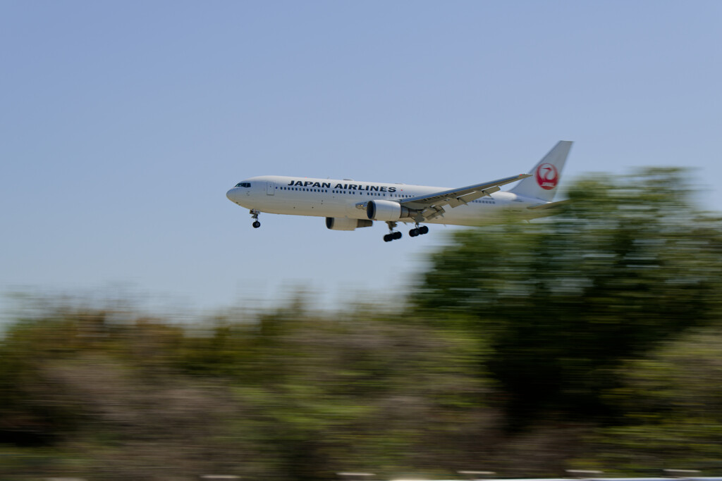 千里川土手のJAL B767