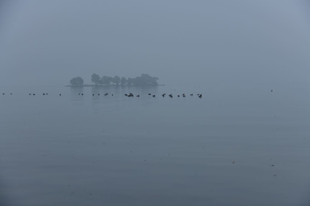 霧の宍道湖
