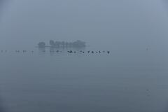 霧の宍道湖