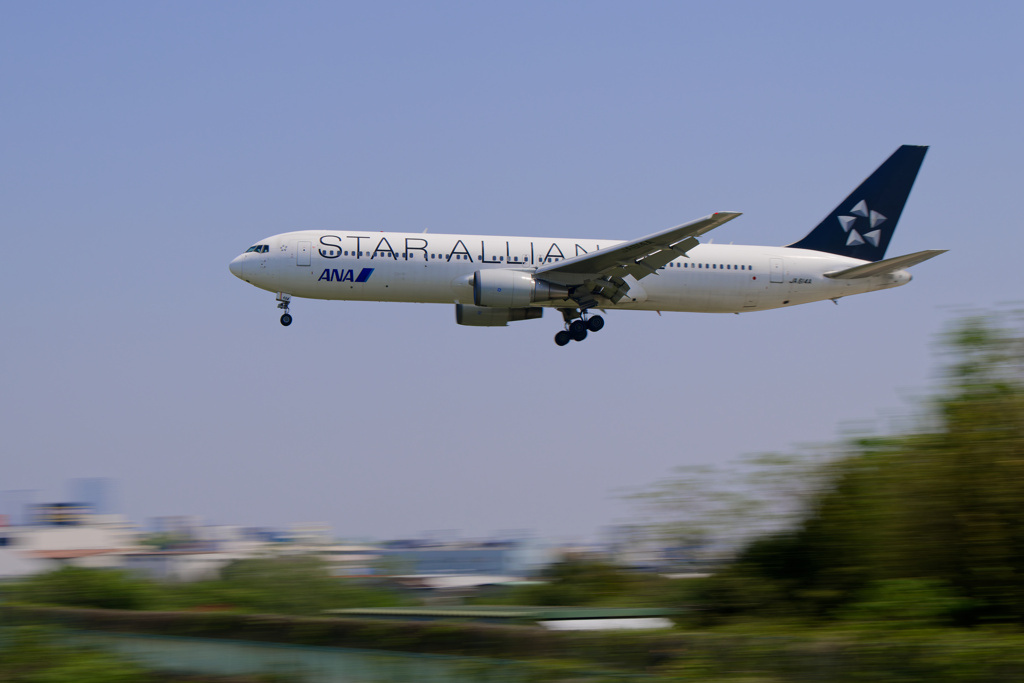 ANA STAR  ALLIANCE