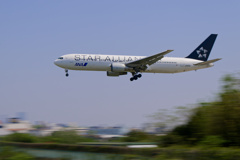 ANA STAR  ALLIANCE