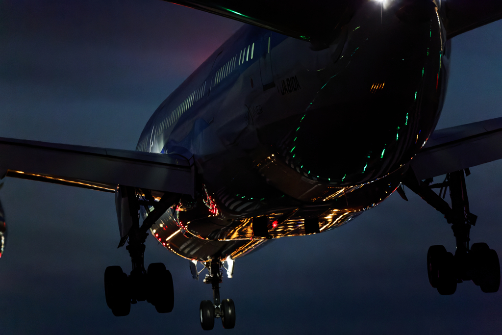 ANA B787