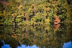 見慣れた風景