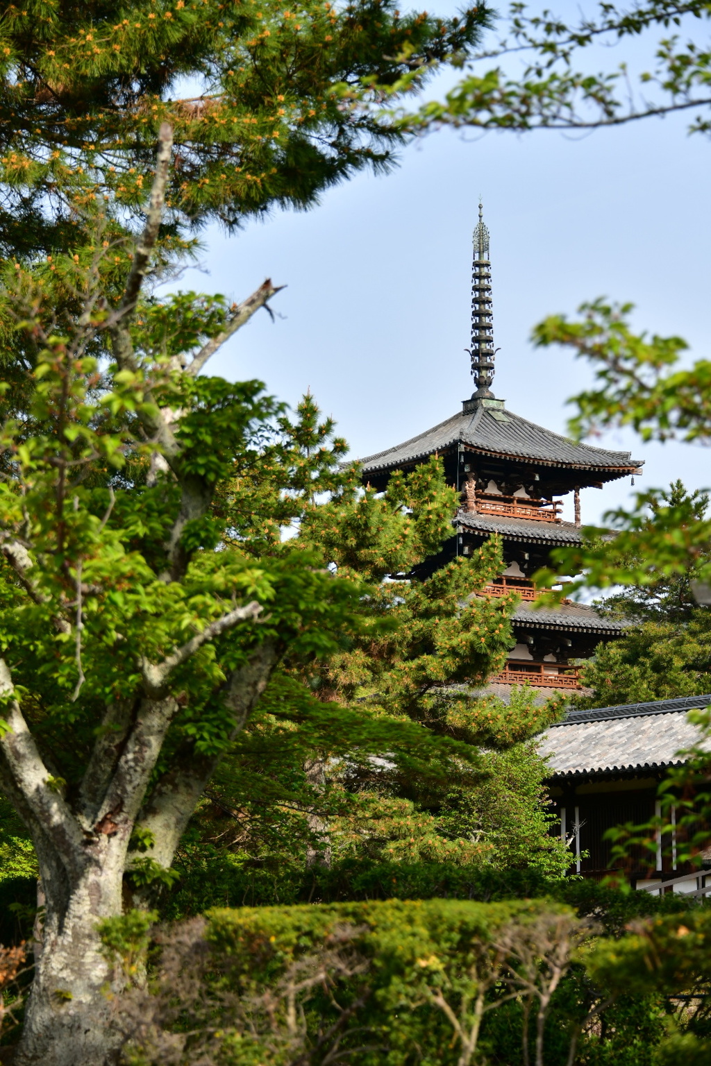 法隆寺