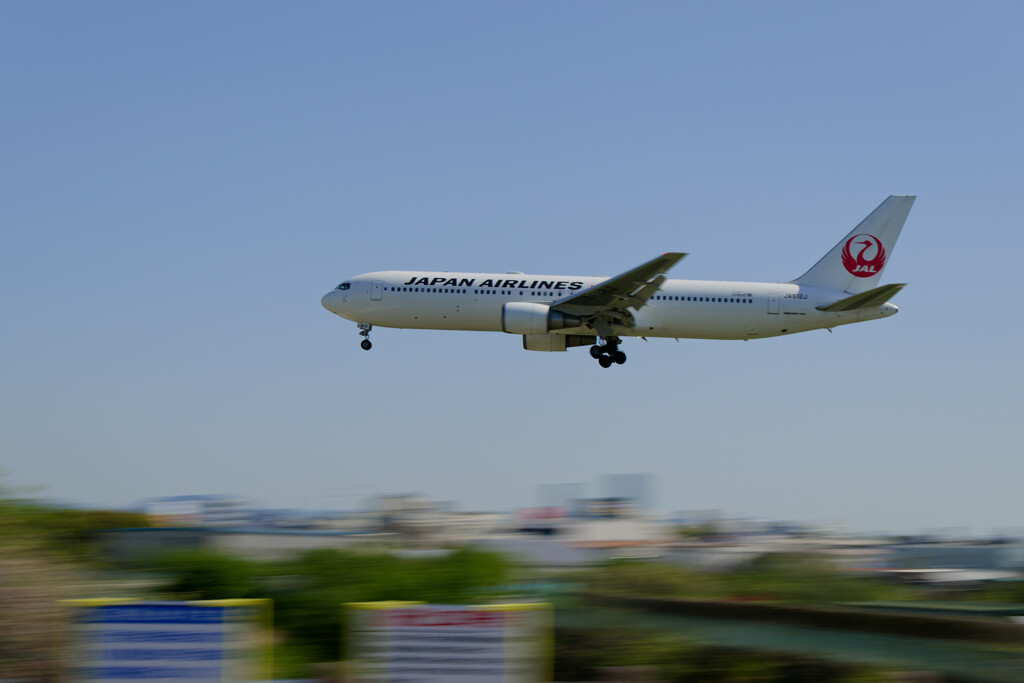 千里川土手のJAL B767
