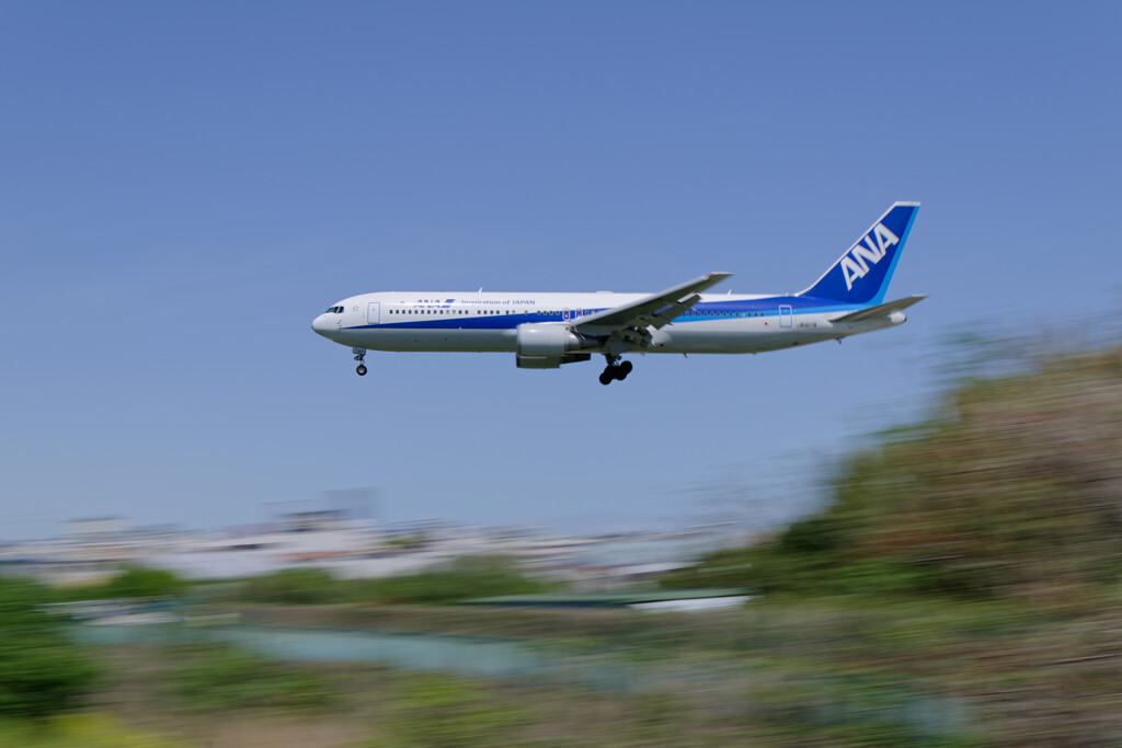 ANA B767