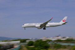 JAL A350