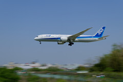 ANA B787-9
