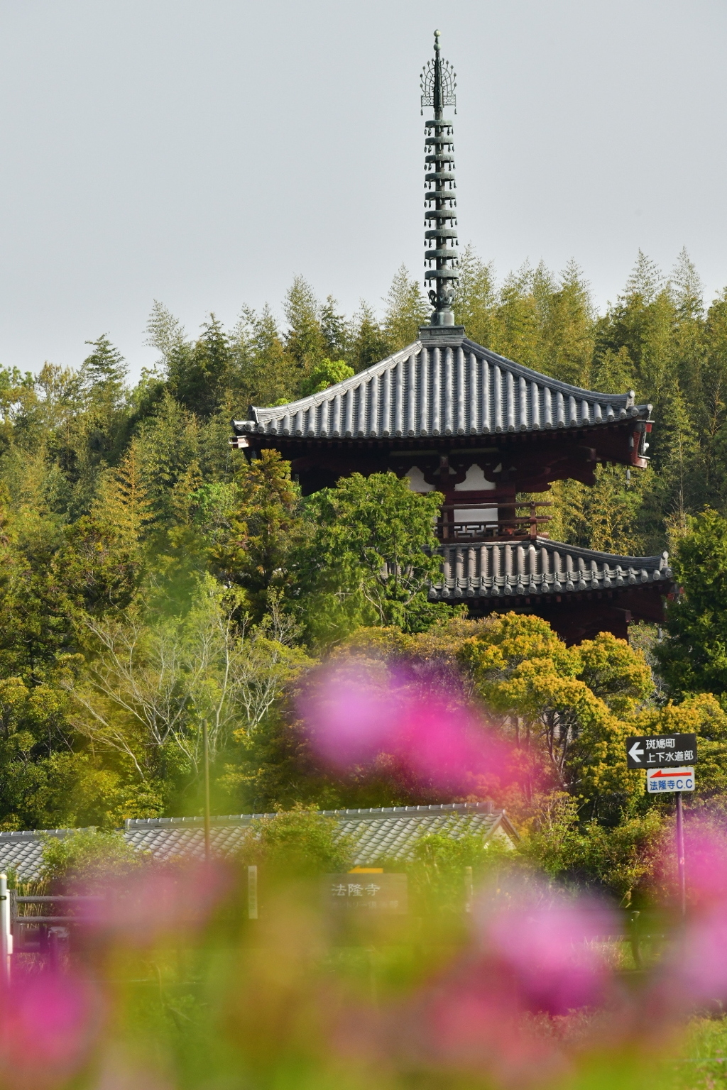 法輪寺