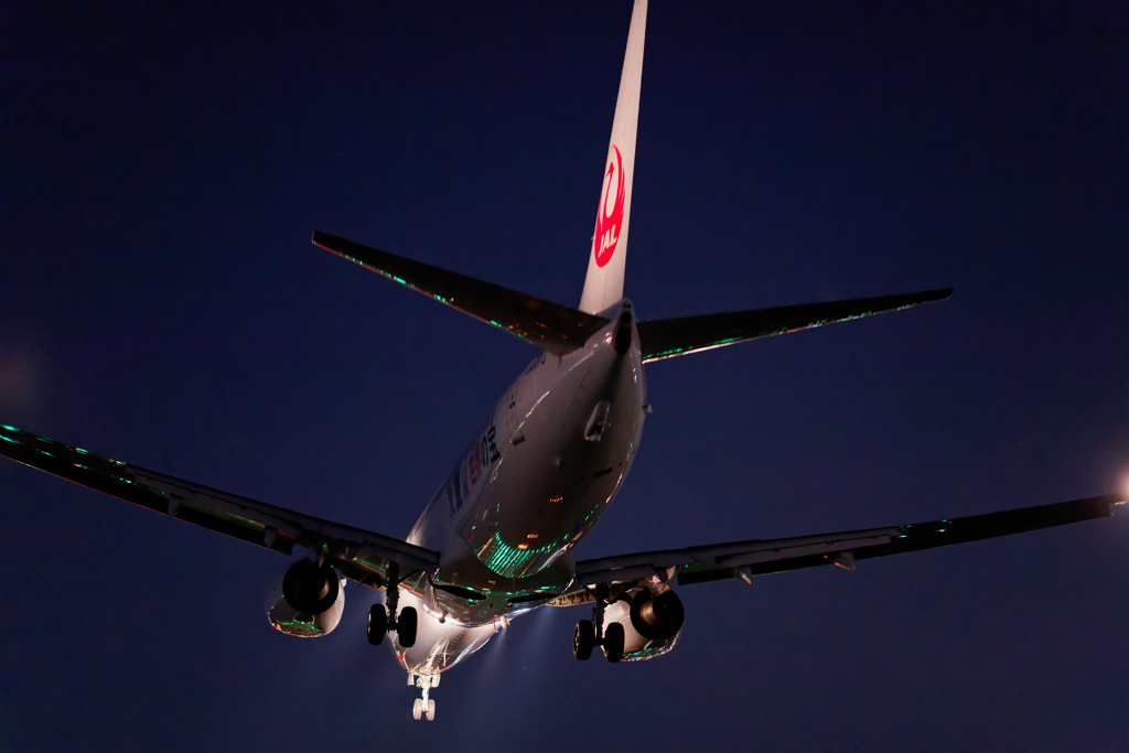 JAL-B737