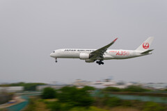 JAL A350