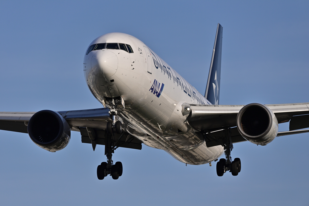 久しぶりの千里川土手