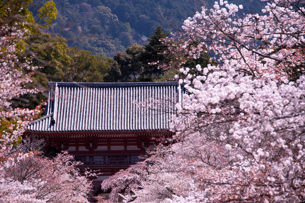 醍醐寺