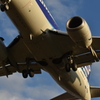 飛行機はデカかった！σ(￣∇￣;)