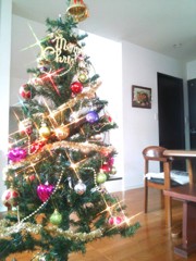メリークリスマス♪ʚïɞ.•*¨*•.¸¸♬