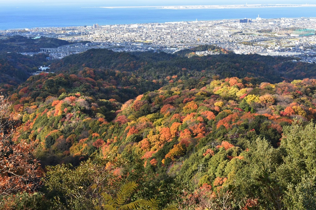 山登り♪•*¨*•.¸¸☆*･ﾟ