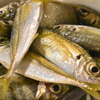 海の恵み♪(*´∀`)♪