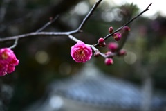 季節の香り